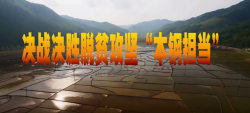 微信图片_20201019105739.png